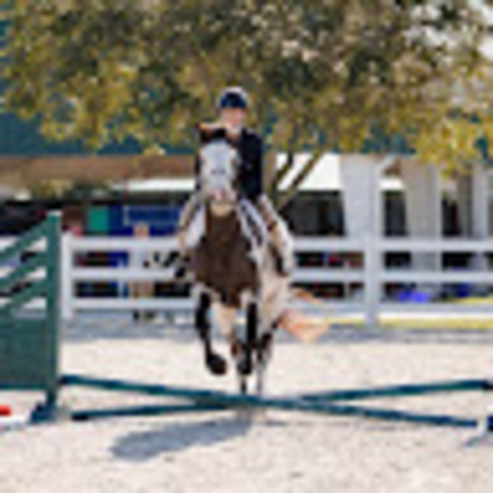 Meet your Posher, Gg